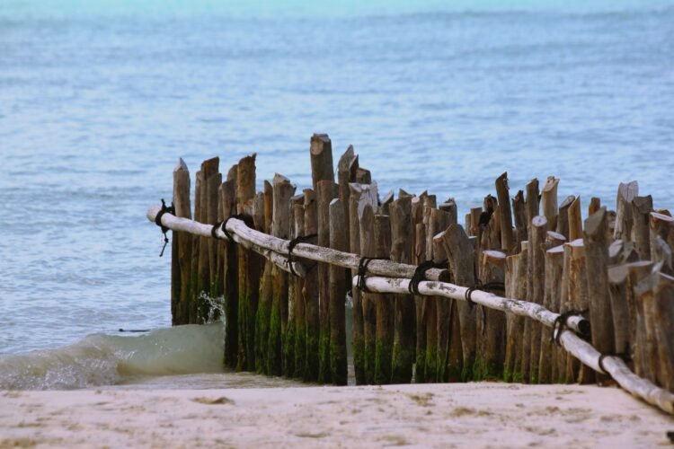 Tanggapi Kasus Pagar Laut, Pakar UGM: Singgung Ketidaksinkronan Regulasi