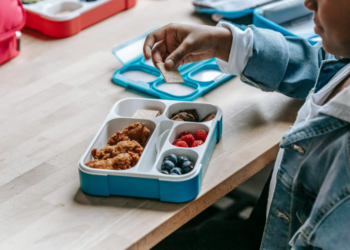 Pakar UGM Sebut Program MBG Bagus, Asal Jangan Jadi Bancakan Korupsi