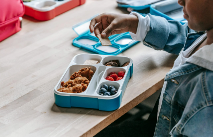 Pakar UGM Sebut Program MBG Bagus, Asal Jangan Jadi Bancakan Korupsi