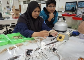 Tim UGM dan Edinburgh merangkai robot dari rangka biawak