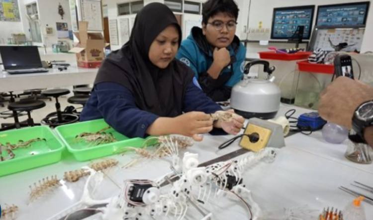 Tim UGM dan Edinburgh merangkai robot dari rangka biawak
