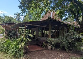 kafe pet friendly di Sleman satu diantaranya yakni Suara Dewandaru