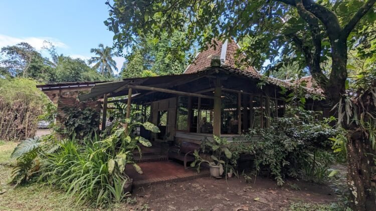 kafe pet friendly di Sleman satu diantaranya yakni Suara Dewandaru