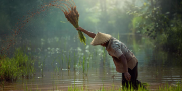 Ilustrasi pertanian.