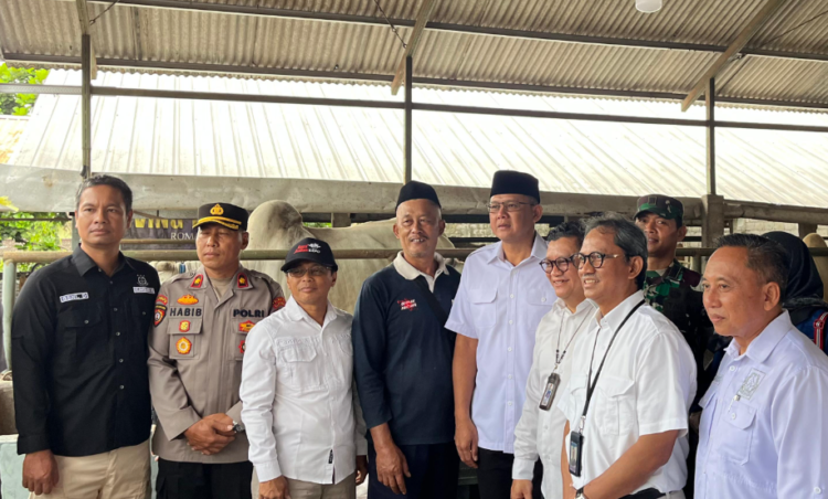 Wakil Bupati Sleman Danang Maharsa meninjau kandang kelompok di Brayut, Pandowoharjo, Sleman memantau kondisi hewan ternak jelang Iduladha, Rabu (21/5/2025)