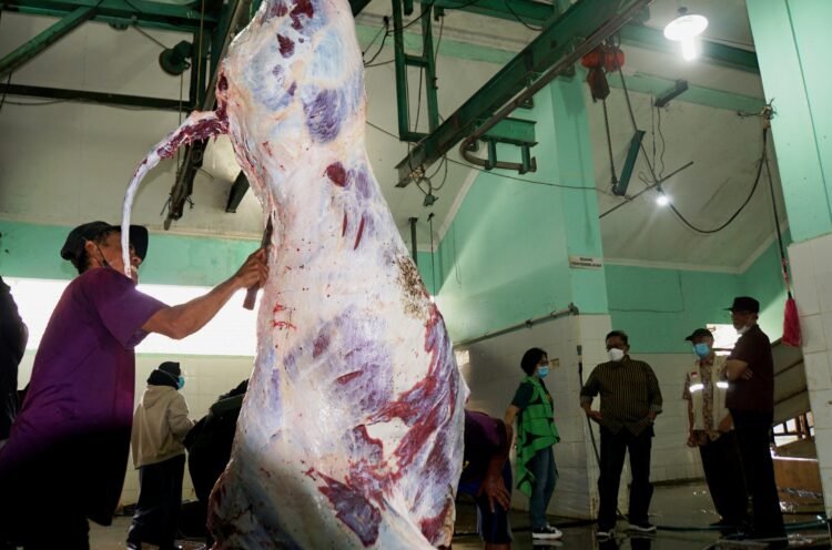 aktivitas penyembelihan hewan di RPH Giwangan. Sambut Iduladha, Pemkot Yogyakarta membuka jasa pemotongan hewan kurban di RPH Giwangan