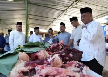 Bupati Sleman Imbau Warga Kelola Limbah Kurban: Jangan Buang ke Sungai!