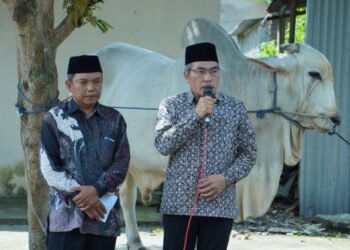 Bupati Bantul Abdul Halim Muslih secara simbolis menyerahkan bantuan sapi kurban dari Presiden Prabowo Subianto kepada warga Srimartani, Kamis (5/6/2025)