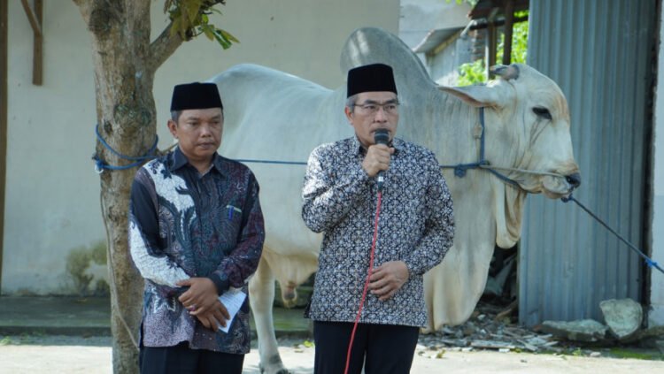 Bupati Bantul Abdul Halim Muslih secara simbolis menyerahkan bantuan sapi kurban dari Presiden Prabowo Subianto kepada warga Srimartani, Kamis (5/6/2025)