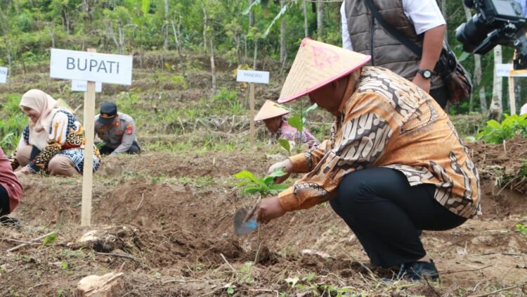 Bupati Kulon Progo Agung Setyawan melakukan penanaman bibit kopi di Agrowisata Trajumas, Kalinongko, Samigaluh