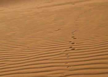 Ilustrasi gurun pasir di Arab Saudi