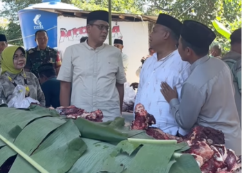 Bupati Sleman Harda Kiswaya dan Wabup Danang Maharsa memantau pelaksanaan penyembelihan hewan kurban di Minggir dan Wukirharjo, Jumat (6/6/2025).