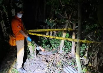 Mayat Bayi Ditemukan Membusuk di Ember Tertutup Handuk di Kebun Ubi