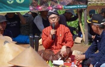 Pemkab Gunungkidul mengembangkan budidaya bawang merah yang bermuasal dari Dana Keistimewaan