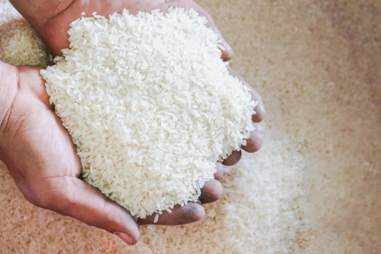 Ilustrasi beras. [vecteezy/Suwinai Sukanant]