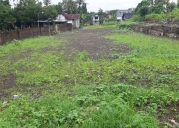 Ilustrasi tanah terlantar