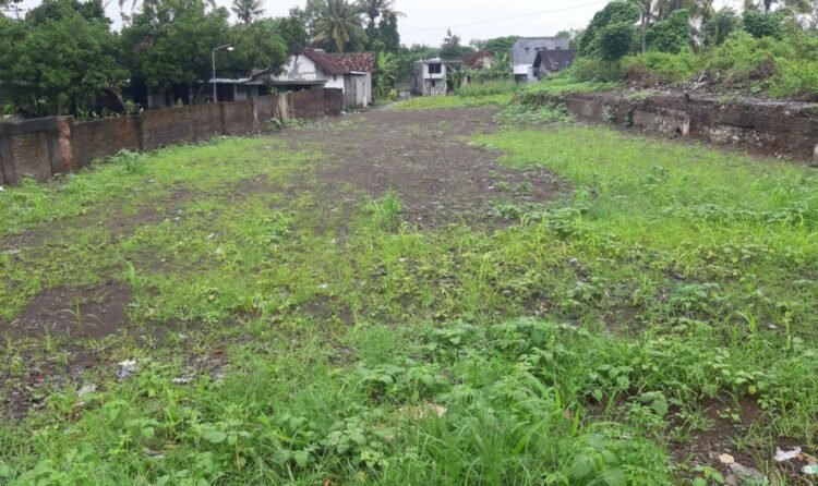 Ilustrasi tanah terlantar