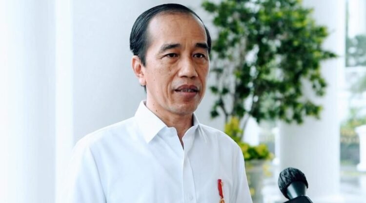 Presiden Indonesia ke-7 Joko Widodo. (Foto: BPMI Setpres/Rusman)