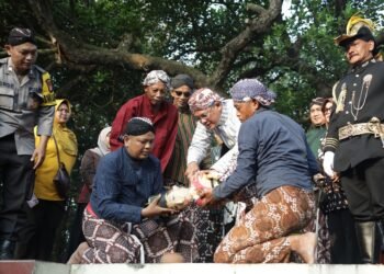 Wakil Bupati Sleman Danang Maharsa mengikuti kegiatan upacara adat Saparan Bekakak di Kalurahan Ambarketawang Gamping, Jumat (8/8). (dok. Prokopim Sleman)