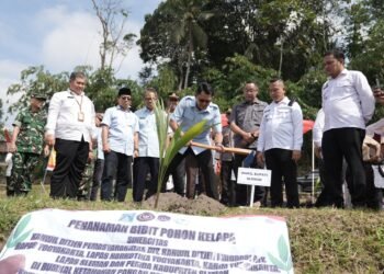 Penanaman bibit kelapa di Hargobinangun Agro Park, Pakem, Selasa (9/9).