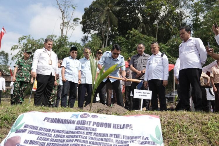 Penanaman bibit kelapa di Hargobinangun Agro Park, Pakem, Selasa (9/9).