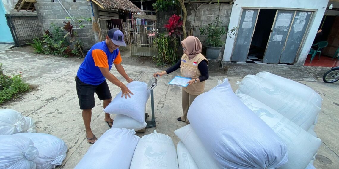 Perum Bulog Kanwil Yogyakarta membeli gabah kering panen dari petani di DIY. (Dok. Bulog Kanwil Yogyakarta)
