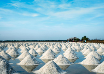Ilustrasi ladang garam