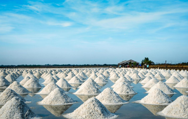 Ilustrasi ladang garam
