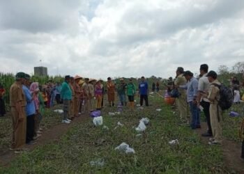 Bupati Gunungkidul Endah Subekti Kuntariningsih mengikuti panen raya di Lumbung Mataraman, Kelurahan Payaman