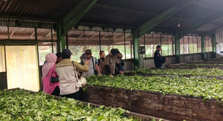 kurasi Kemenpar dan dewan juri, Agro Wisata Tambi kini berhasil masuk dalam 6 besar Daya Tarik Wisata Terbaik WIA 2025, bersanding dengan destinasi unggulan lain