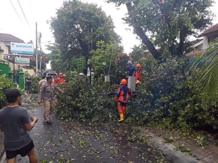 Petugas BPBD Kota Yogyakarta bersama sejumlah warga melakukan pembersihan dan pemotongan pohon yang tumbang di Kampung Surokarsan, Kelurahan Wirogunan, Mergangsan, Yogyakarta, Jumat (31/10/2025).