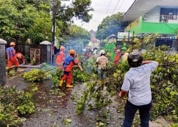 Personel BPBD Kota Yogyakarta bersama sejumlah relawan membersihkan dan memotong pohon yang tumbang di Kelurahan Wirogunan, Mergangsan, Yogyakarta.