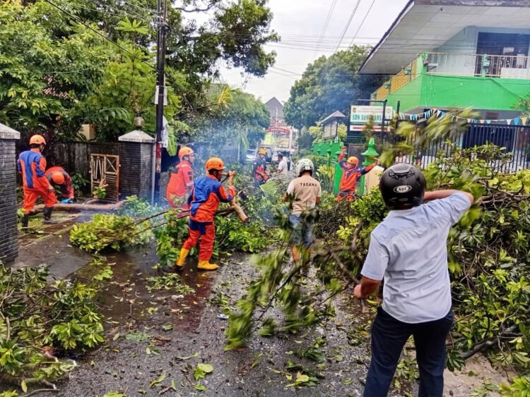 Personel BPBD Kota Yogyakarta bersama sejumlah relawan membersihkan dan memotong pohon yang tumbang di Kelurahan Wirogunan, Mergangsan, Yogyakarta.