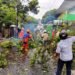 Personel BPBD Kota Yogyakarta bersama sejumlah relawan membersihkan dan memotong pohon yang tumbang di Kelurahan Wirogunan, Mergangsan, Yogyakarta.