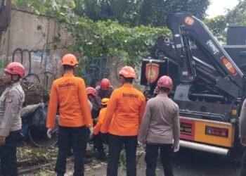 Tim SAR lakukan evakuasi korban tertimpa pohon di Ringroad Utara, Sleman, DIY, Jumat (21/11/2025).