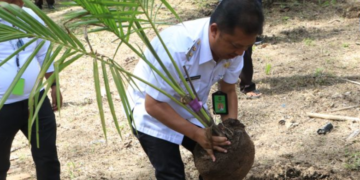 Wakil Bupati Kulon Progo Ambar Purwoko melakukan penanaman perdana kelapa genjah bantuan dari Kementerian Pertanian