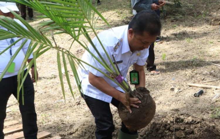 Wakil Bupati Kulon Progo Ambar Purwoko melakukan penanaman perdana kelapa genjah bantuan dari Kementerian Pertanian