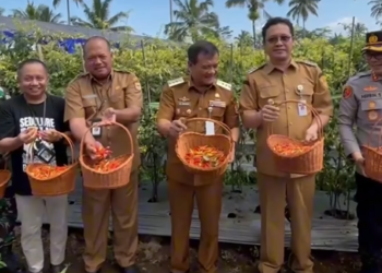 Gubernur Jawa Tengah Ahmad Luthfi melakukan panen Cabai Rawit Merah di Dusun Sikendil, Desa Banyusidi, Kecamatan Pakis, Kabupaten Magelang