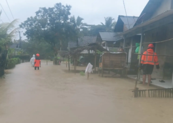 Tim Reaksi Cepat BPBD Kabupaten Pandeglang lakukan monitoring dan kaji cepat di Desa Idaman, Kecamatan Patia, Kabupaten Pandeglang, Banten, pada Rabu (17/12/2025). (BPBD Kabupaten Pandeglang)