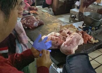 Petugas dari Dinas Pertanian dan Pangan Kota Yogyakarta saat memeriksa kondisi daging sapi di Pasar Beringharjo.