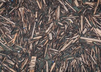 Ilustrasi dampak deforestasi yang mengakibatkan banjir. [pexels/Nikita Belokhonov]