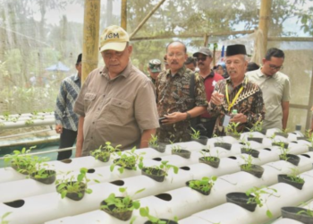 Bupati Sleman Harda Kiswaya meninjau Taman Ketahanan Pangan Semar Ndalil di Kalurahan Girikerto, Jumat (2/1/2026)