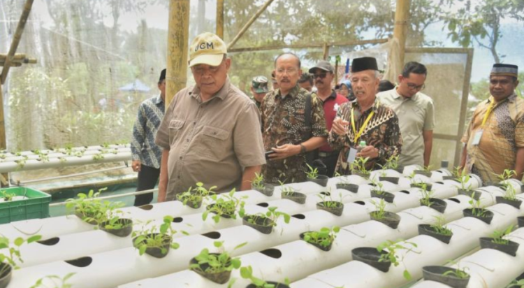 Bupati Sleman Harda Kiswaya meninjau Taman Ketahanan Pangan Semar Ndalil di Kalurahan Girikerto, Jumat (2/1/2026)