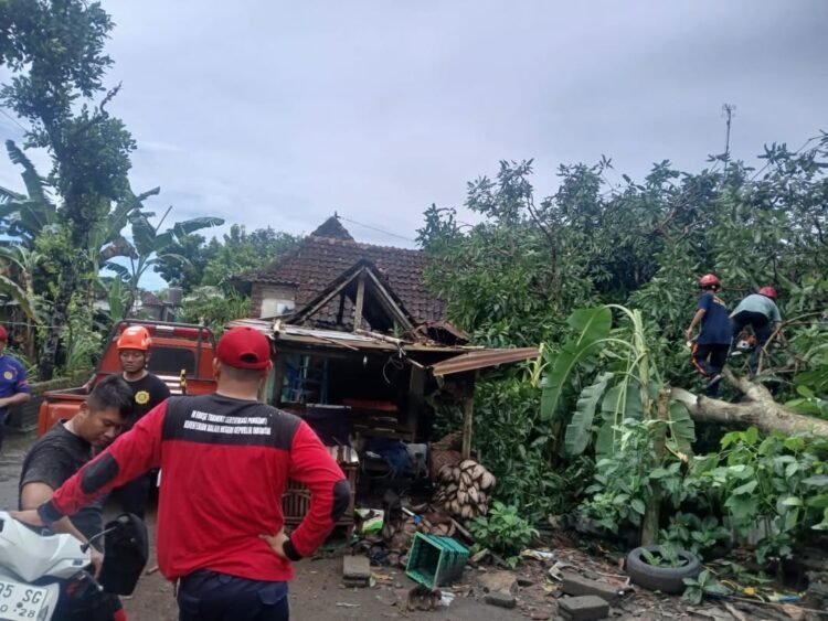 Tim relawan dan BPBD Bantul melakukan penanganan rumah warga yang terdampak bencana cuaca ekstrem