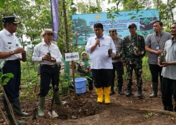 Bupati Kulon Progo Agung Setyawan melakukan penanaman bibit kopi arabika secara simbolik di kawasan perbukitan menoreh, Rabu (21/1/2026)
