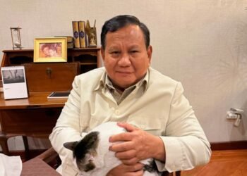 Menelisik Kebiasaan News Junkie Presiden Prabowo: Bangun Jam 3 Pagi Pantau Isu Dunia