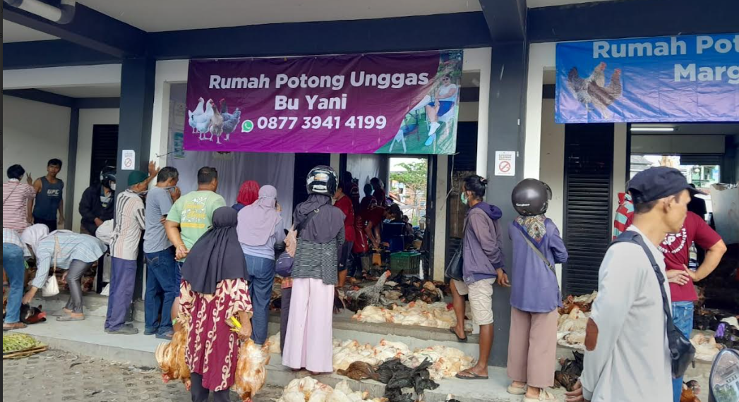 Aktivitas jual beli ayam hidup di Pasar Terban mengalami peningkatan jelang lebaran, Rabu (18/3/2026)
