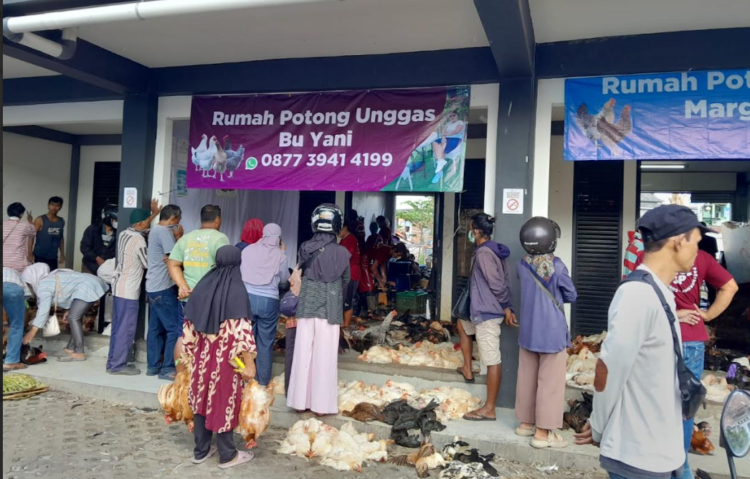 Aktivitas jual beli ayam hidup di Pasar Terban mengalami peningkatan jelang lebaran, Rabu (18/3/2026)