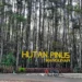 Destinasi wisata Hutan Pinus Mangunan menjadi satu di antara destinasi wisata hits yang cocok untuk mengisi waktu libur lebaran di Yogyakarta