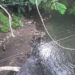 kondisi sungai Bedog, Ngaglik, Sleman, Selasa (3/3/2026)